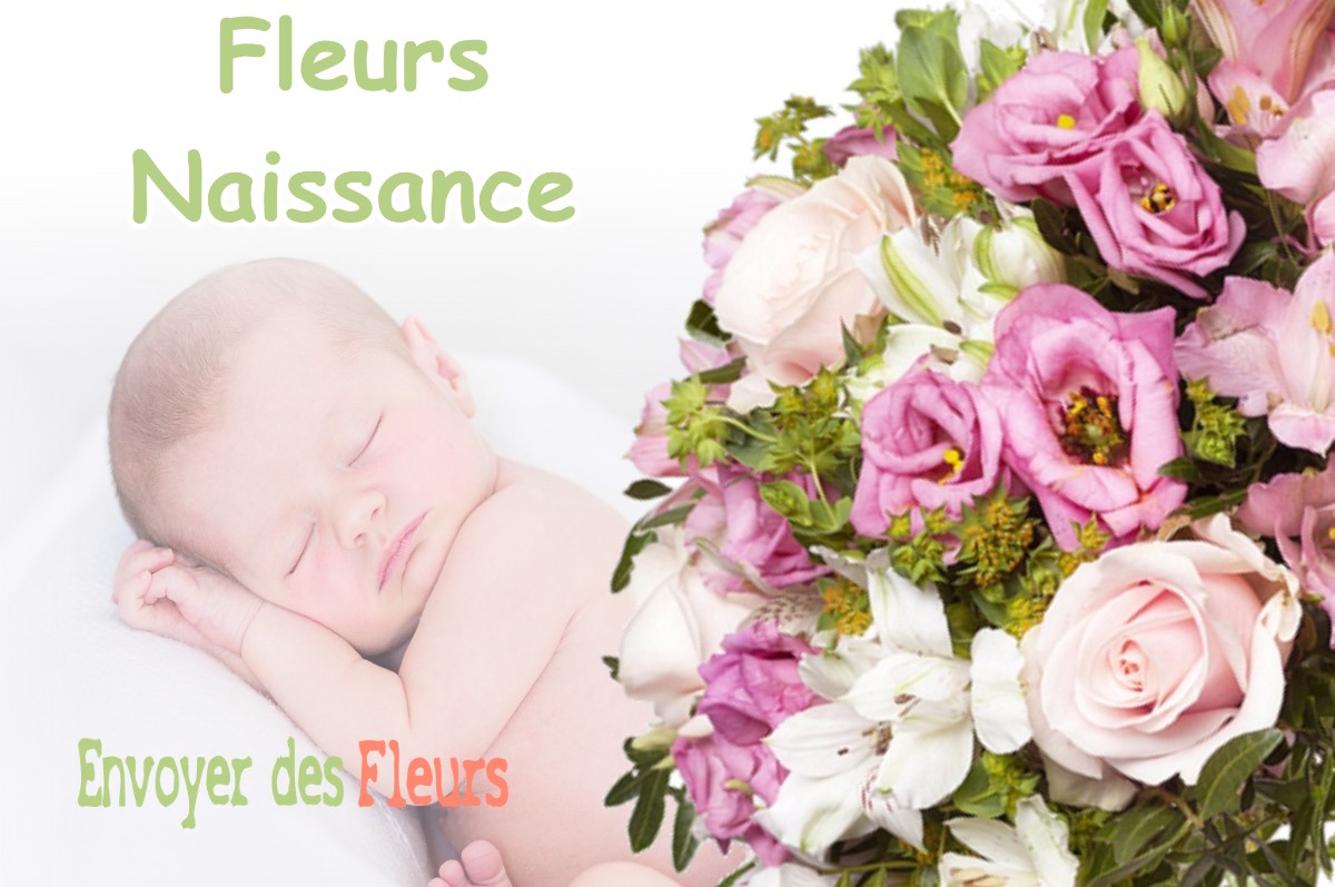 lIVRAISON FLEURS NAISSANCE à SOUGY